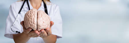 Close-up Of A Doctor's Hand Holding Human Brain Modelの写真素材