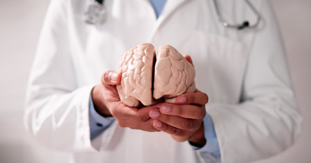 Doctor Holding Cognitive Rehabilitation, Dementia And Psychology Model