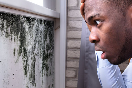 Side View Of A Shocked Young African Man Looking At Mold On Wallの写真素材