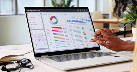 Young Woman Managing Her Finances On Laptop With Budget App.