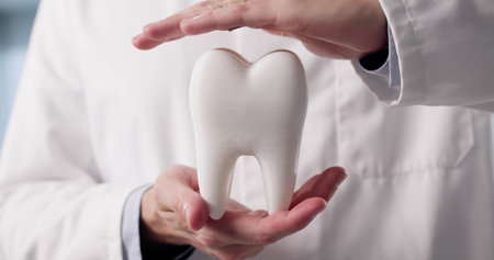Confident Dentist Providing Cosmetic Dental Care For Young Patients.の写真素材