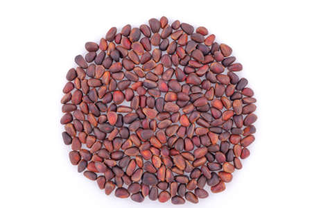 Pine nuts closeup on a white background. View from above