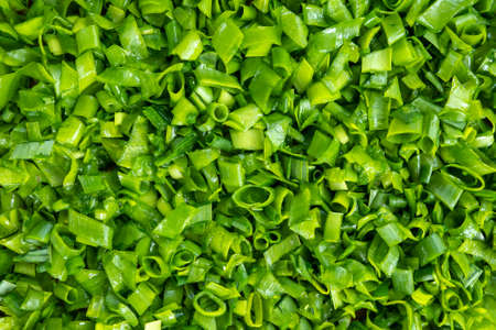 Sliced chopped green onion close-up top view