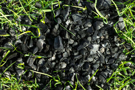 Black coals of a burnt fire on green grass, revival concept.の写真素材