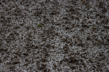 Plowed land covered with snow photo close-up.