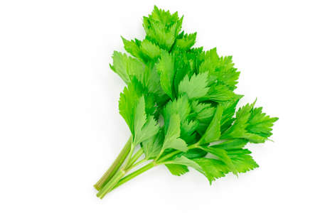 A bunch of celery sprigs close-up isolated on a white background