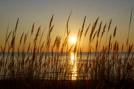 Coastal coastline, picturesque landscape for concept relaxationの写真素材