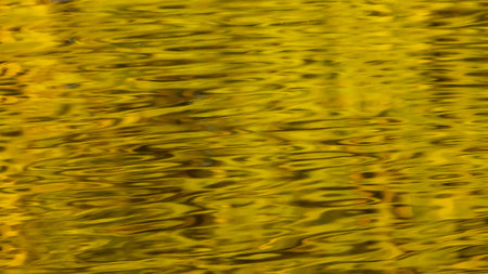 Abstract golden textured natural background and design.の写真素材