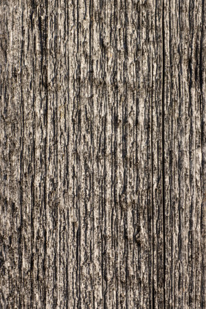Textured vintage retro background of old woodの写真素材