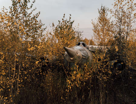 Old plane stands in the bushes and rust.の写真素材