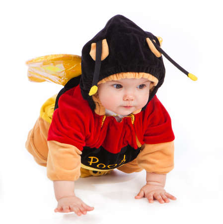 little girl is creeping and dressed as a bee, isolated on white backgroundの写真素材