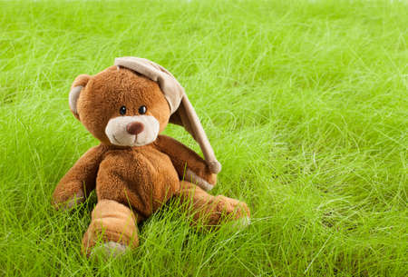 brown teddy bear in grass