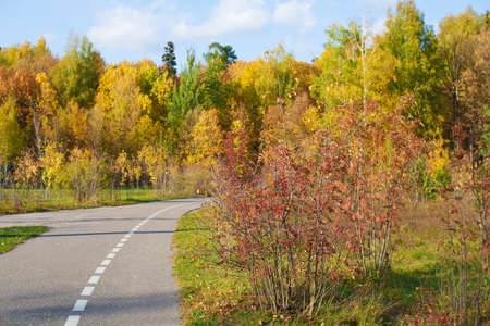 Park with walkway, autumn landscape