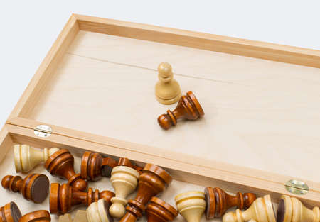 chess pieces in a box, composition.