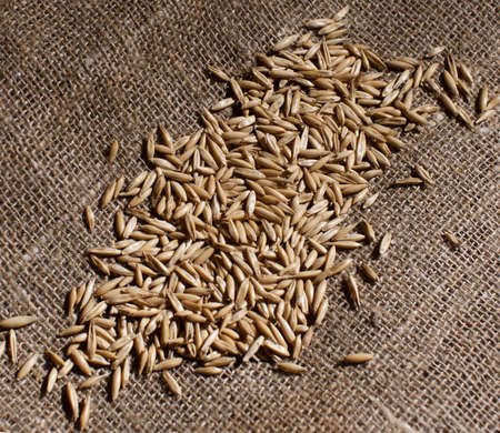 Oat grain on canvas fabric, texture.の写真素材