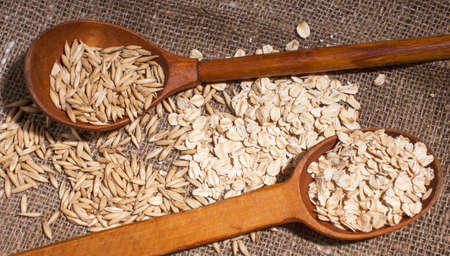 oat grains sprinkled in wooden spoons. on canvas background