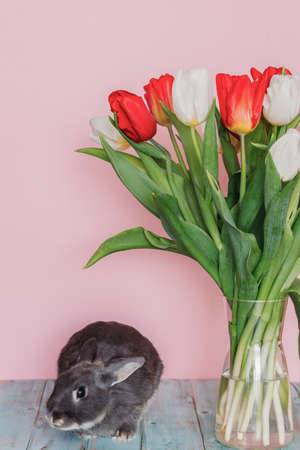 cute little rabbit on a pink background with a bouquet of tulips in a vase.の写真素材