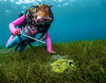 a little diver gets to know a tropical fish while underwater at the depths of the oceanの写真素材