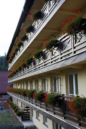 geranium flowers on the balcony of a house . the decoration of the facade of the house.の写真素材