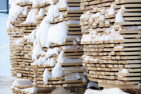 Lumber warehouse.New Stacked pallets .Forest industryの写真素材