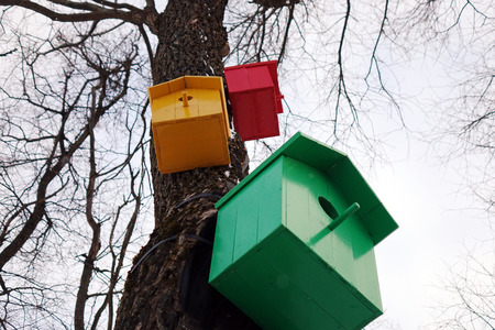 Colored birdhouses.Colorful bird houses on a tree trunk in the forestの写真素材