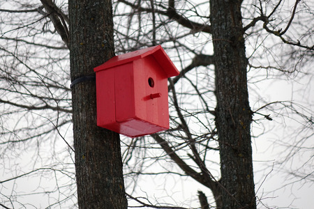 Colored birdhouses.Colorful bird houses on a tree trunk in the forestの写真素材