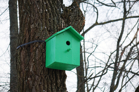 Colored birdhouses.Colorful bird houses on a tree trunk in the forestの写真素材