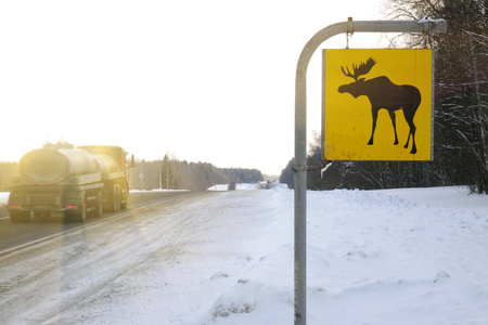 Road sign. Moose are wild animals.Warningの写真素材