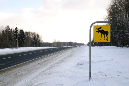 Road sign. Moose are wild animals.Warningの写真素材