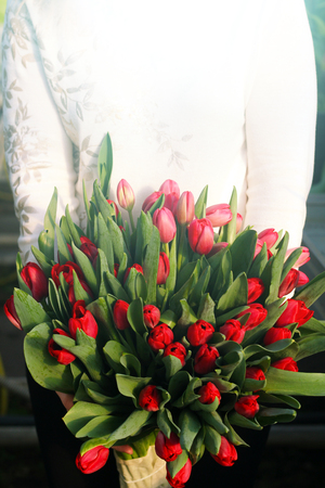 Bouquet of tulips in the hands of the girl.Bouquet of red tulips. Spring gift for a girl .の写真素材