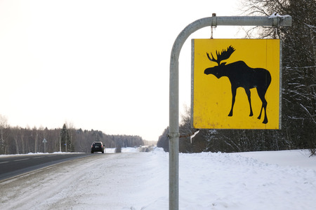 Road sign. Moose are wild animals.の写真素材