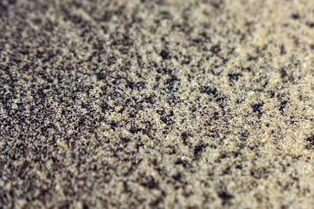 close up sawdust taxture backgroundの写真素材