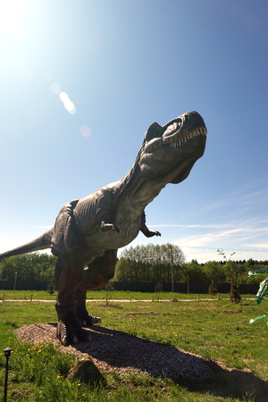 dinosaur on the blue sky background .の写真素材