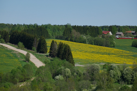 Picture countryside during the daytime.の写真素材