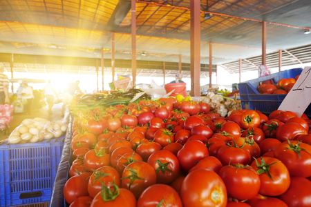 red fresh tomatoes on the counter.の写真素材