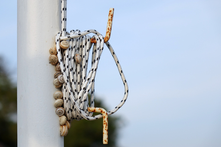clams on the mast.Yacht mast and riggingの写真素材