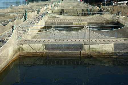 The farm for breeding fish.の写真素材