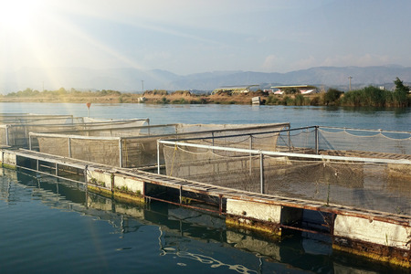 The farm for breeding fish.の写真素材