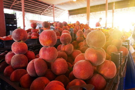 Peaches and nectarines on the counter are sold at the grocery store. trade in the market.の写真素材