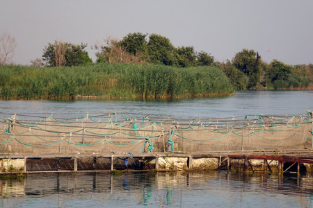 The farm for breeding fish.の写真素材