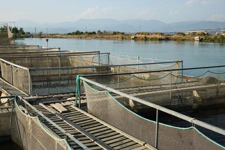 The farm for breeding fish.の写真素材