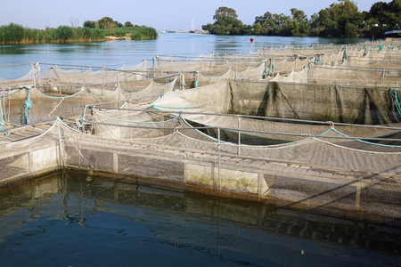 The farm for breeding fish.の写真素材