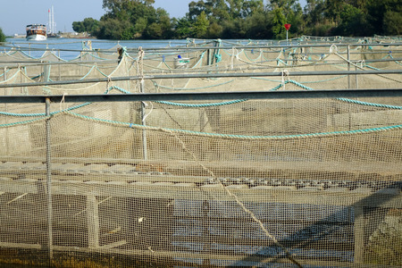 The farm for breeding fish.の写真素材