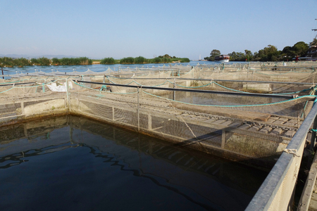 The farm for breeding fish.の写真素材