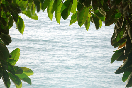 Frame of green leaves on a sea background. Natural frame of green leaves around the photo. In the center of the place for signature.の写真素材