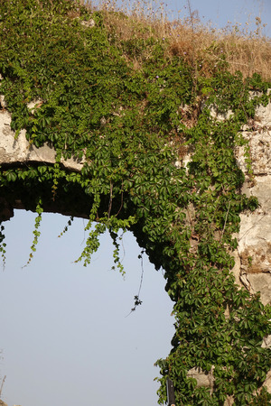 Ruins of the ancient theatre in Side, Turkeyの写真素材