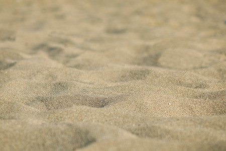 Ground texture with dry grass and small, rare tufts of green plants.の写真素材