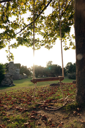 An empty wooden swing is hung on a rope on a large live oak branch . Calm relaxing beautiful view .の写真素材