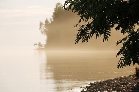 Foggy morning on the lake. Place for textの写真素材