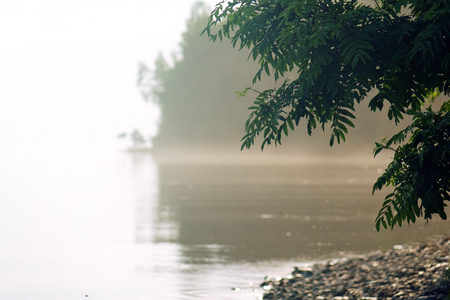 Foggy morning on the lake. Place for textの写真素材